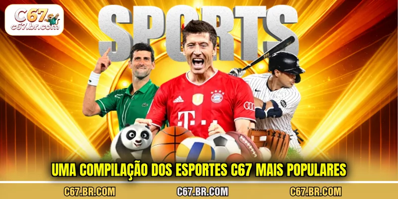 uma-compilacao-dos-esportes-c67-mais-populares